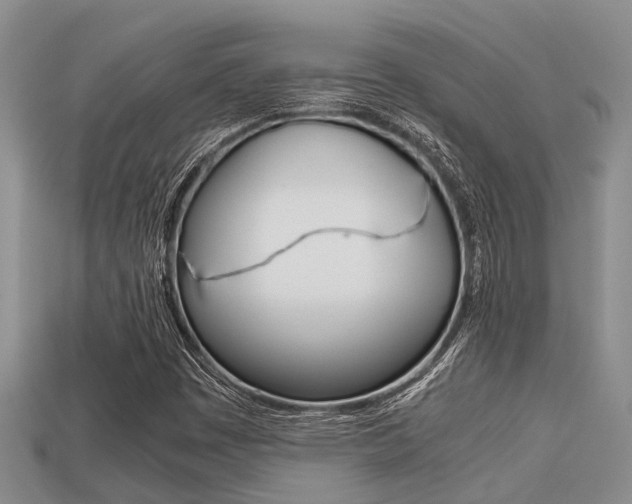 X0000113221449200909100912