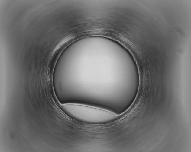 X0000113221450200909100912