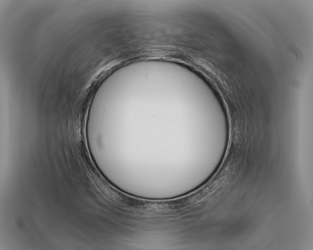 X0000113221451200909100912