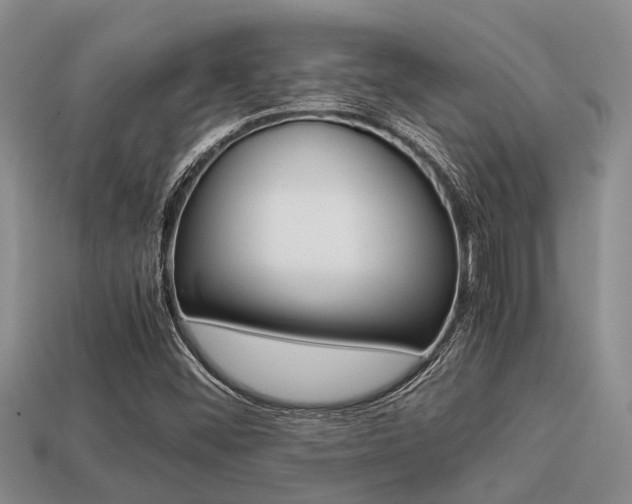X0000113221452200909100912