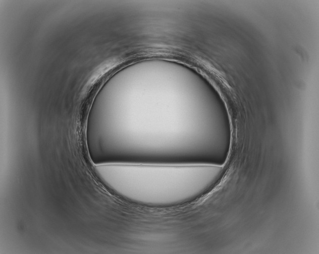 X0000113221453200909100912