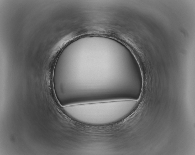 X0000113221455200909100912