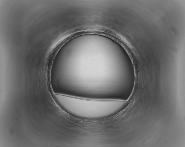 X0000113221456200909100912