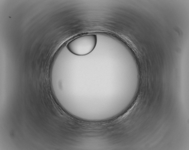 X0000113221457200909100912