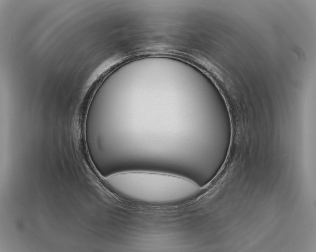 X0000113221458200909100912