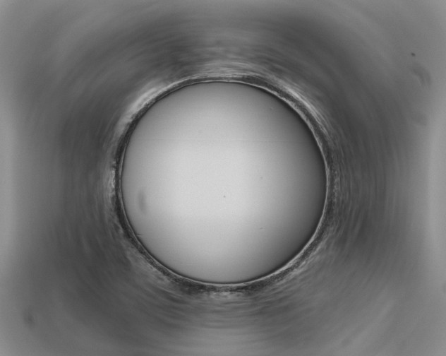 X0000113221459200909100912