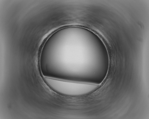 X0000113221460200909100912