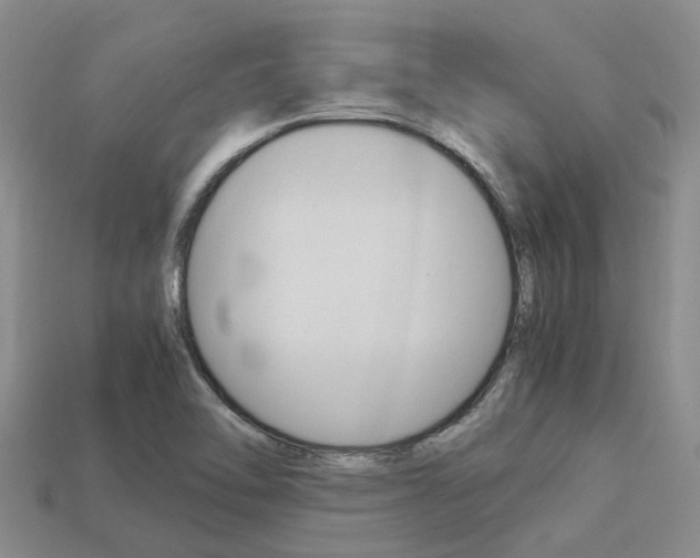 X0000113221462200909100912