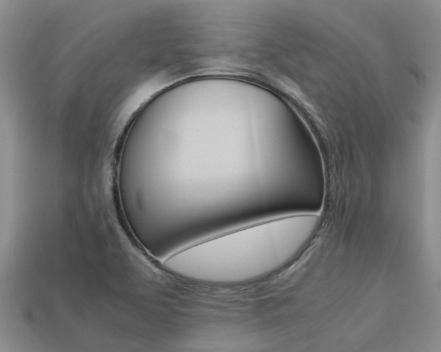 X0000113221463200909100912