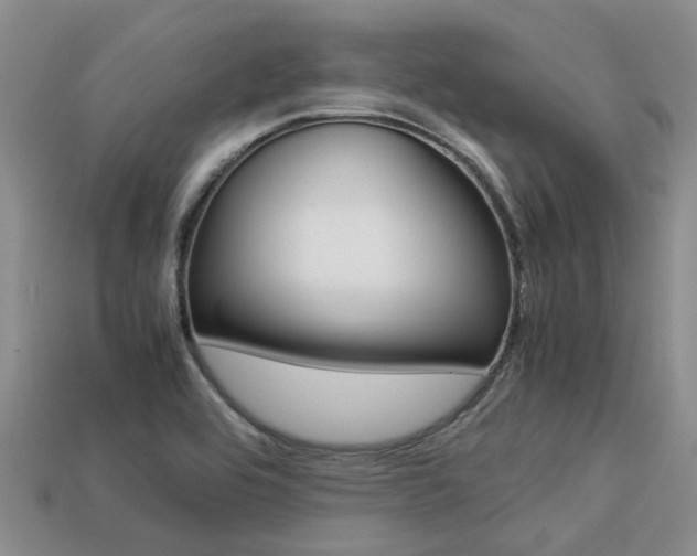 X0000113221464200909100912
