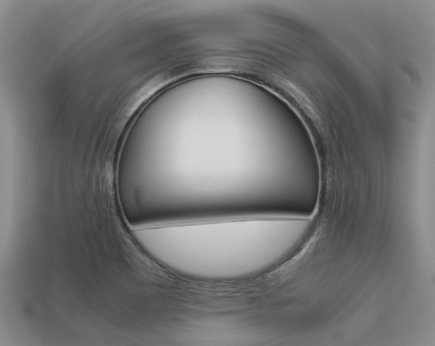X0000113221465200909100912