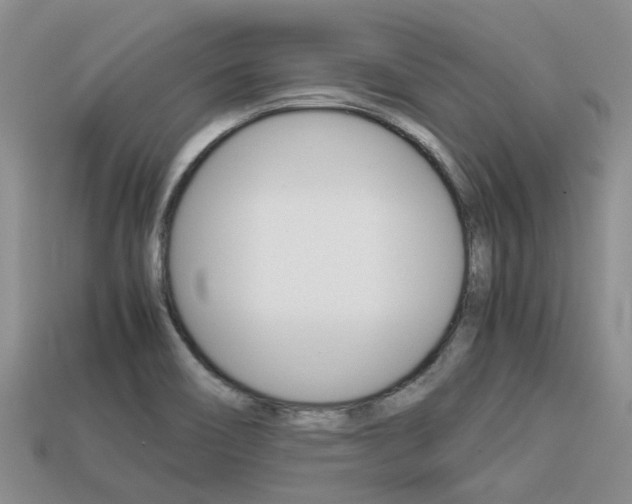 X0000113221466200909100912