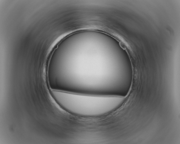 X0000113221468200909100912