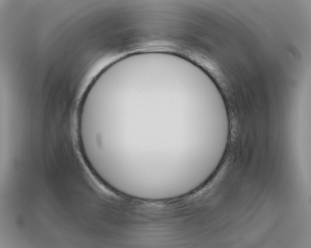X0000113221470200909100912