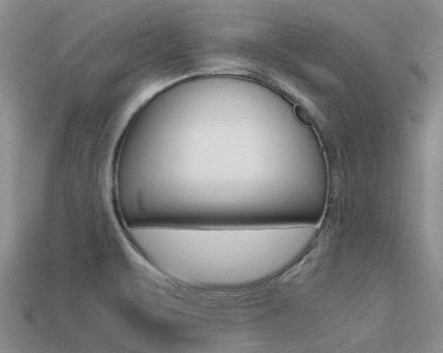 X0000113221471200909100912