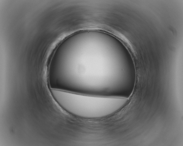 X0000113221472200909100912