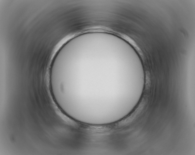 X0000113221474200909100912