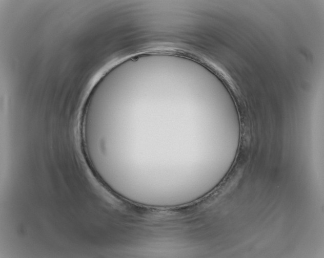 X0000113221475200909100912