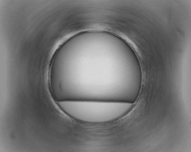 X0000113221477200909100912