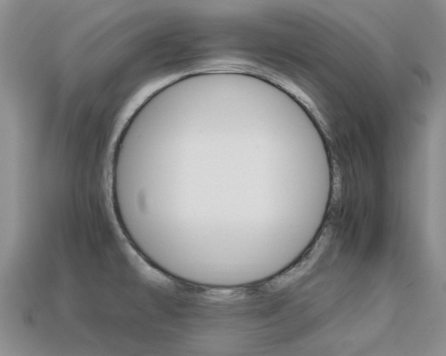 X0000113221478200909100912