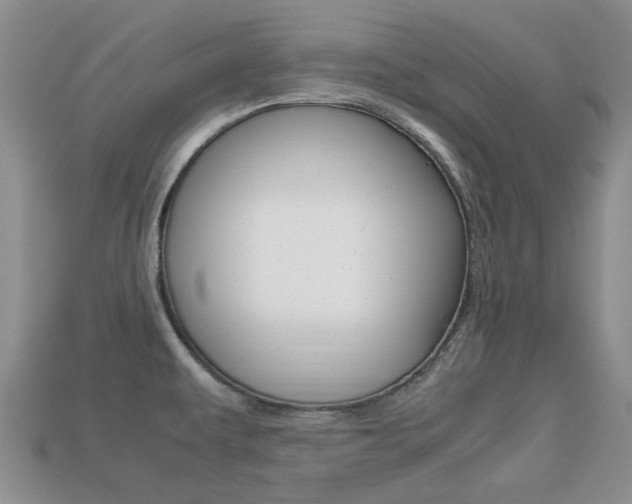 X0000113221479200909100912