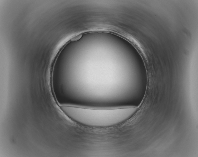 X0000113221480200909100911