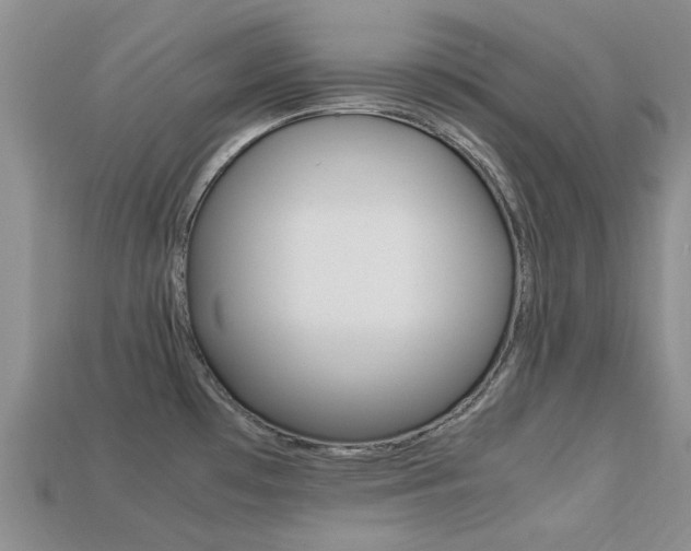 X0000113221481200909100911