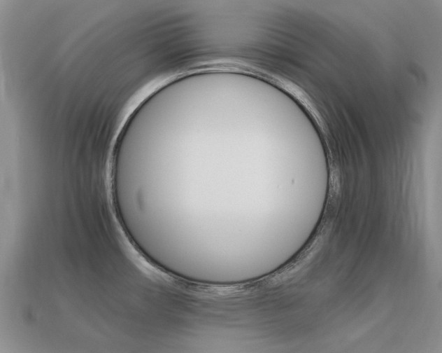 X0000113221482200909100911