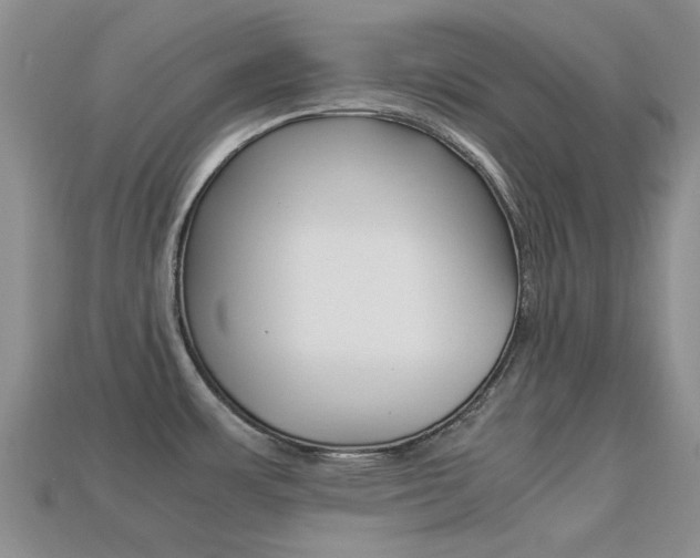 X0000113221483200909100911