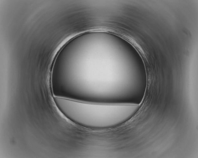 X0000113221484200909100911