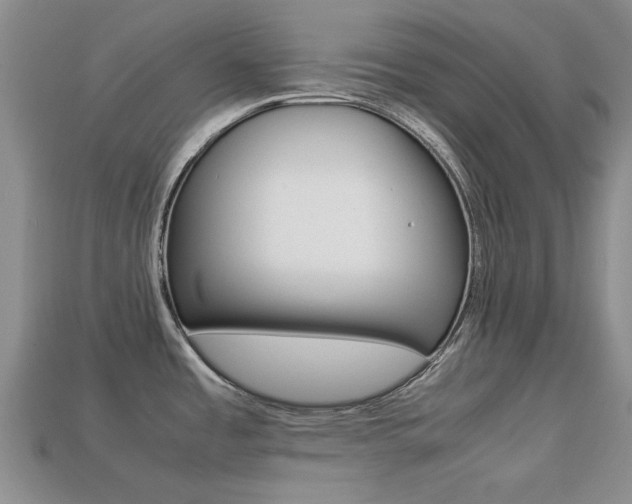 X0000113221485200909100911