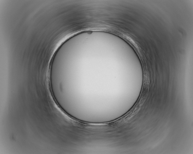 X0000113221487200909100911