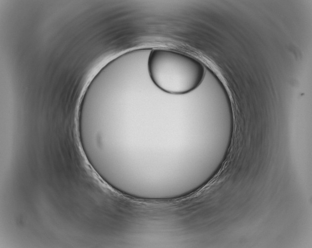 X0000113221488200909100911