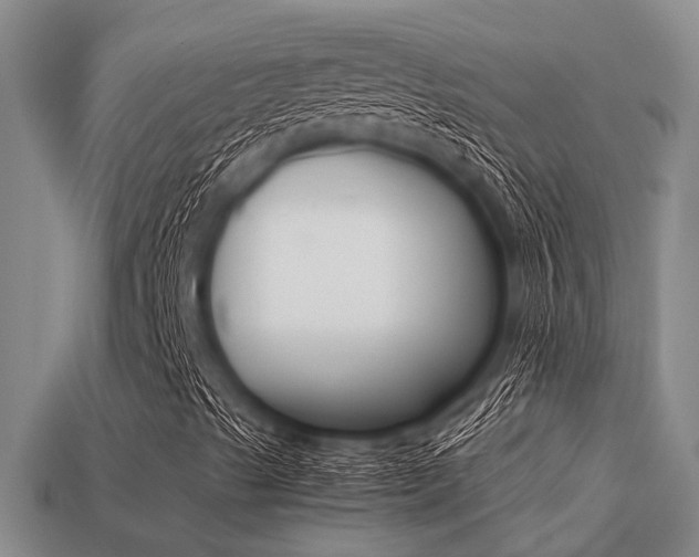 X0000113221489200909100911