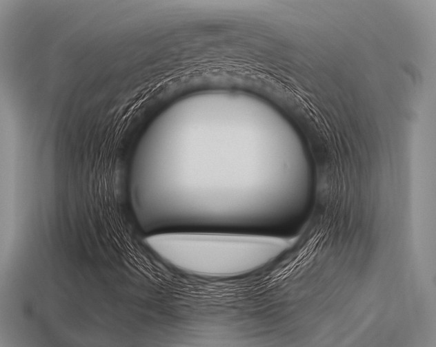 X0000113221490200909100911