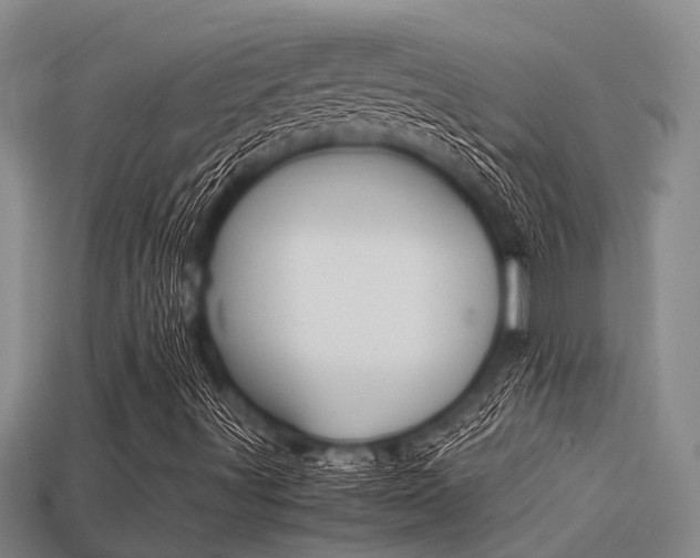 X0000113221491200909100911