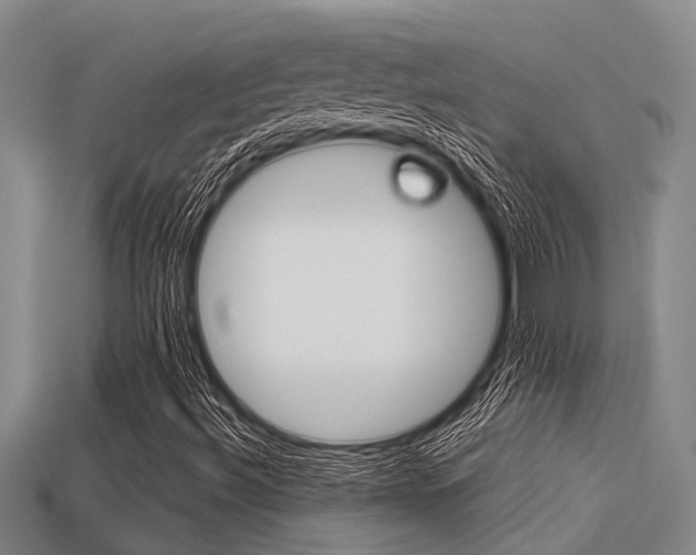 X0000113221492200909100911