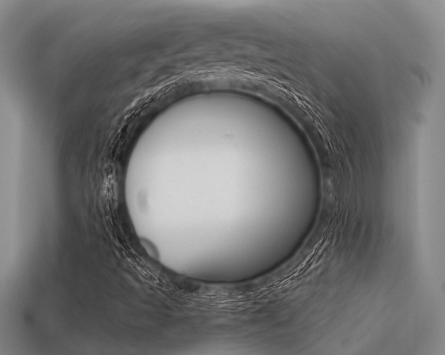 X0000113221493200909100911
