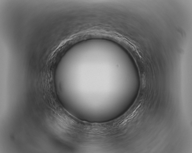 X0000113221494200909100911