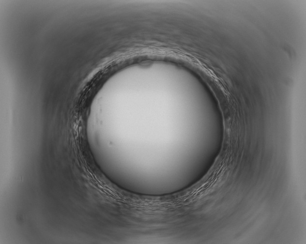 X0000113221495200909100911