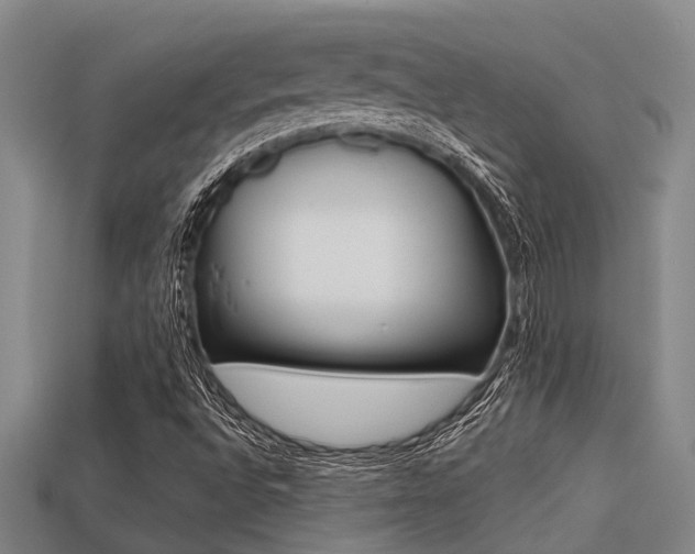 X0000113221496200909100911