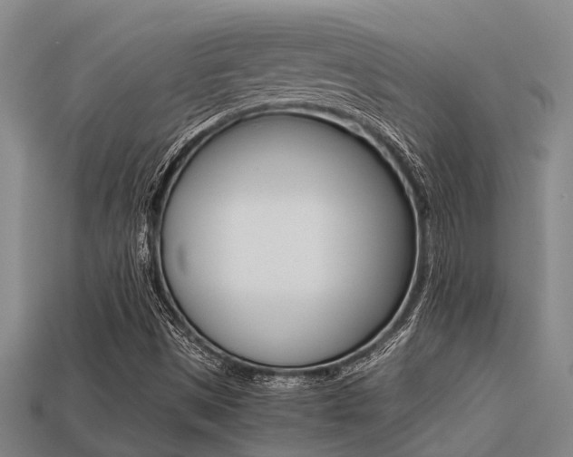 X0000113221497200909100911