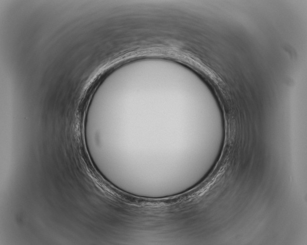 X0000113221498200909100911