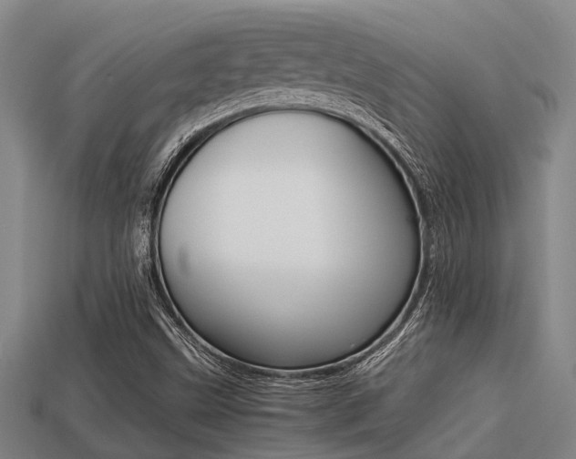 X0000113221499200909100911