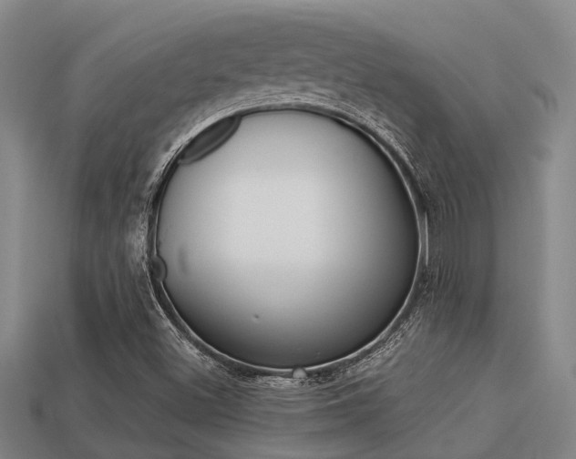 X0000113221500200909100911