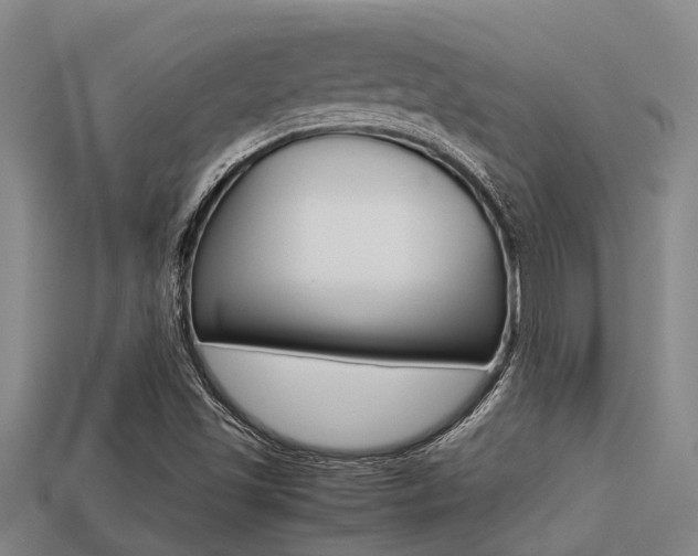 X0000113221501200909100911