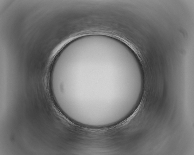 X0000113221502200909100911