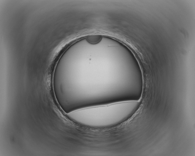 X0000113221503200909100911