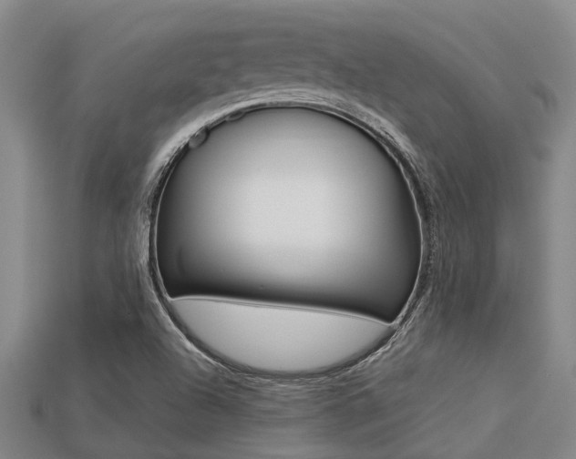 X0000113221504200909100911