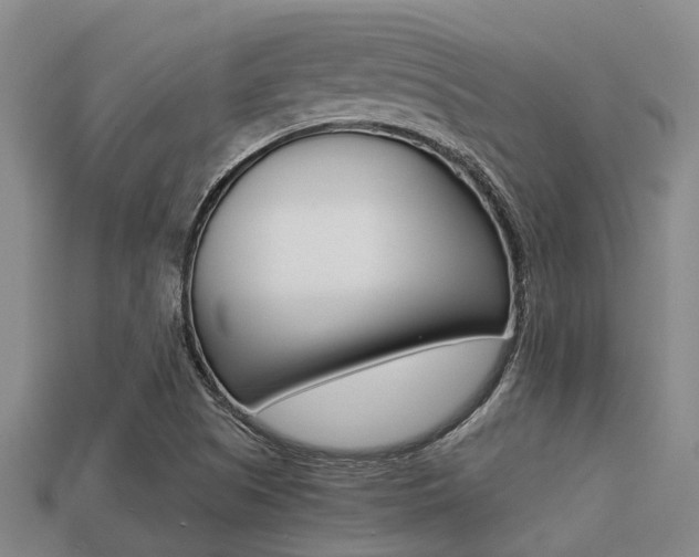 X0000113221505200909100911